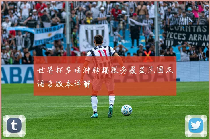 世界杯多语种转播服务覆盖范围及语言版本详解