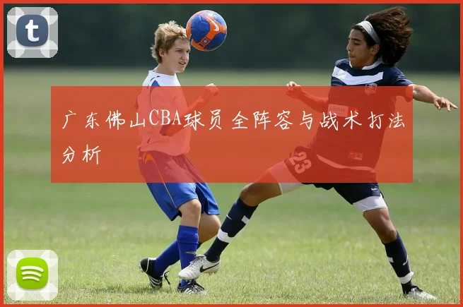 广东佛山CBA球员全阵容与战术打法分析