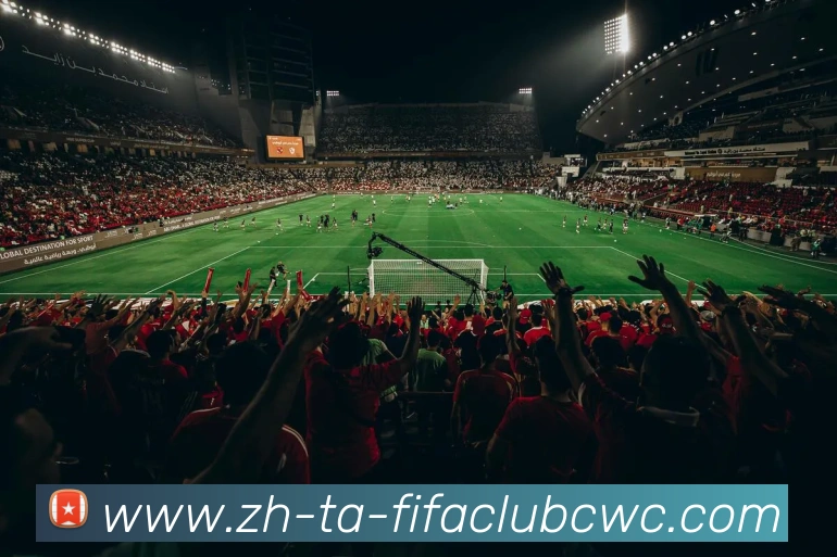 多媒体互动体验