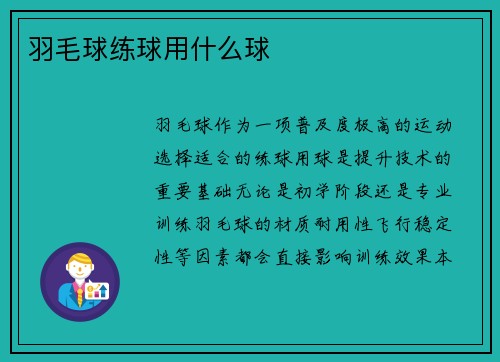 羽毛球练球用什么球